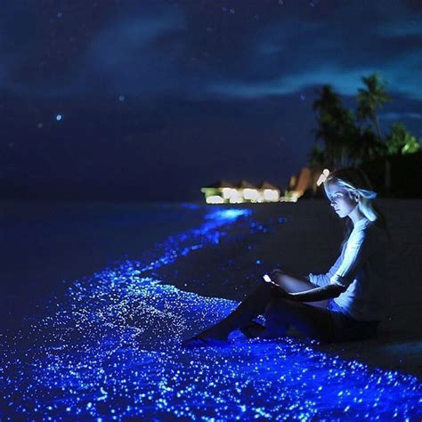 Sea Of Stars On The Island Anantara Kihavah Maldives Amazing