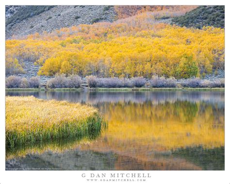 G Dan Mitchell Photograph Quiet Lake Autumn Reflections G Dan