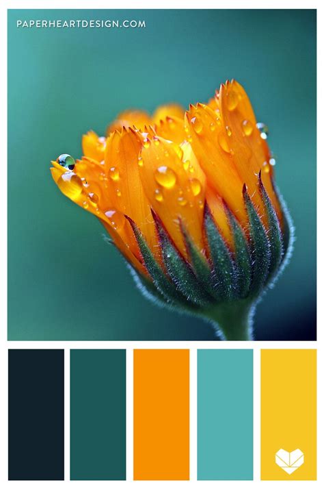 Teal Color Palette Color Schemes Colour Palettes Color Palate Teal