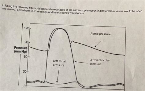 Question 4 Using The Following Figure Describe Where Phases Of The