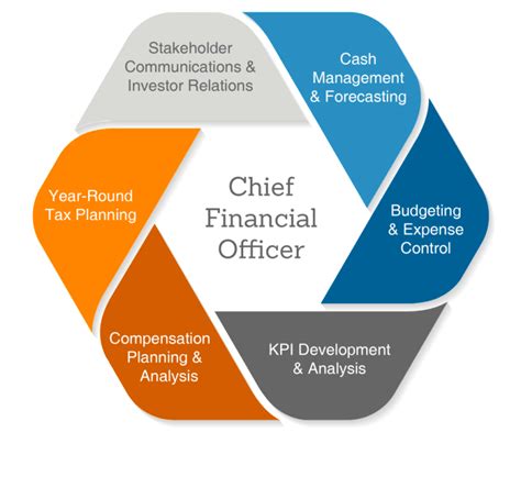Chief Financial Officer Roles And Responsibilities Onlinebusinessskill