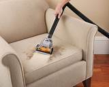 The Best Vacuum For Dog Hair Pictures