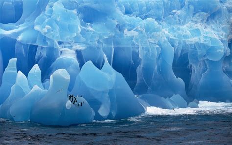 Blue Ice Bergs Antarctica Iceberg Birds Penguins Hd