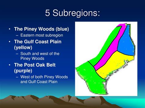 Ppt The Gulf Coastal Plain Region Powerpoint Presentation Free