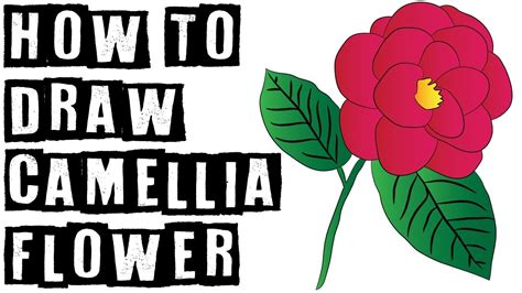 How To Draw Camellia Camellia Japonica From Alabama Speed Drawing