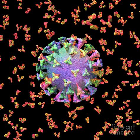 Coronavirus Antibodies Black Digital Art By Russell Kightley Pixels