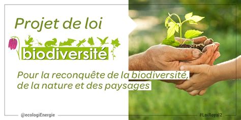 Projet De Loi Biodiversité Devant La Commission De Laménagement Du