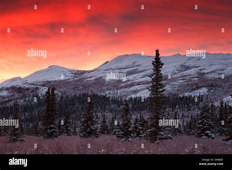 Sunrise Over Denali National Park Alaska Stock Photo Alamy