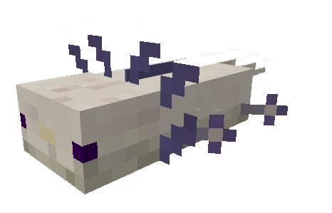 All minecraft commands have to be used in command blocks! Axolotls Add-on » Minecraft PE