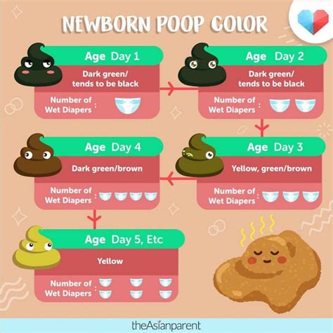 Newborn Poop Colour What Do They Mean