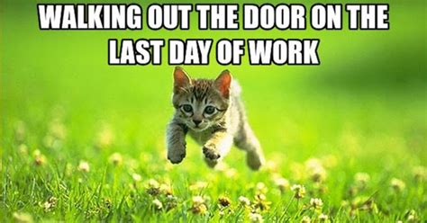 23 Farewell Coworkers Last Day Of Work Meme