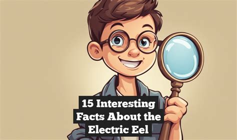 15 Interesting Facts About The Electric Eel Facts Quest