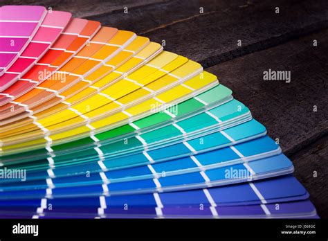 Color Palette Guide Of Paint Samples Catalog Color Chart Isolated On Images