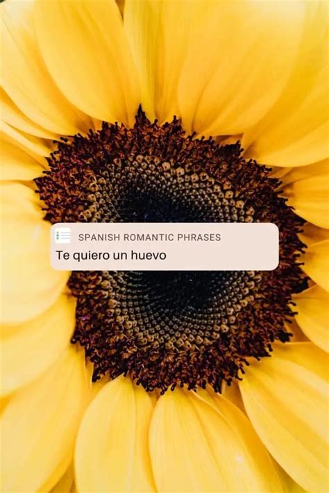 30 Most Romantic Spanish Phrases Bút Chì Xanh