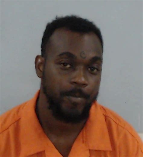 Media Release Attempted Murder Suspect Arrested Columbia County Fl