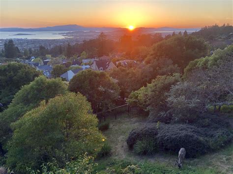 Reddit Bay Area