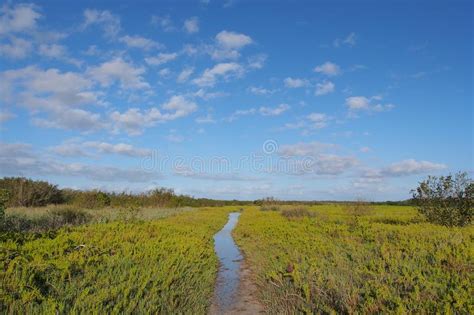 The Coastal Prairie Trail In Everglades National Park Stock Photo