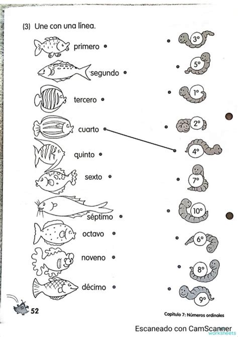 Conociendo Los NÚmeros Ordinales Ficha Interactiva Topworksheets