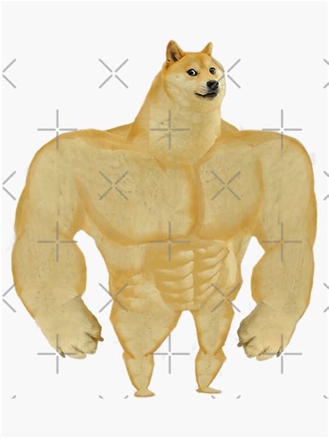 Swole Doge Meme Buff Doge Meme Premium Sticker By Ilirianaveseli