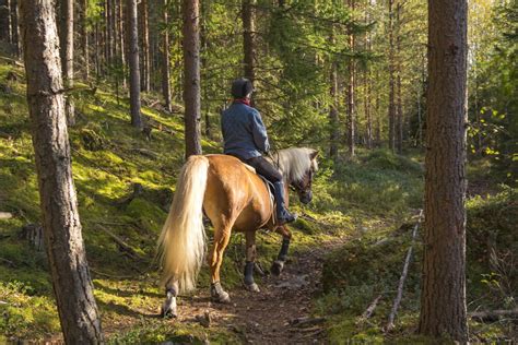 Adirondack Horseback Riding Near Lake George Surfside On The Lake