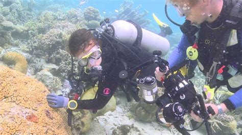 After over a decade of planning, malaysia has unveiled a massive new marine protected area at the northern tip of borneo. Tun Mustapha Park Expedition 2012 - Preliminary Results ...