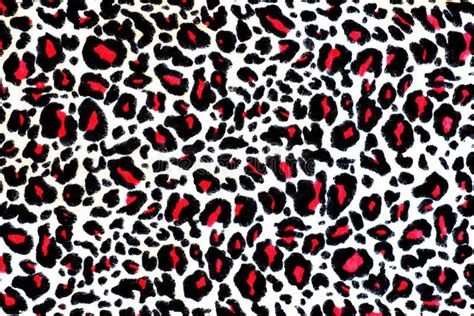 9818 Leopard Print Background Stock Photos Free And Royalty Free Stock
