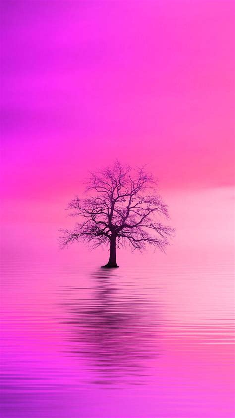 Lonely Tree Iphone Wallpapers Top Free Lonely Tree Iphone Backgrounds