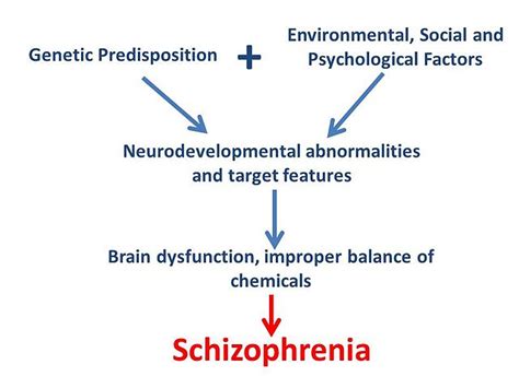 Schizophrenia Mechanism Health Vision