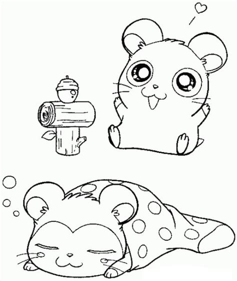 Hamster Dormindo Para Colorir Imprimir E Desenhar Colorir Me