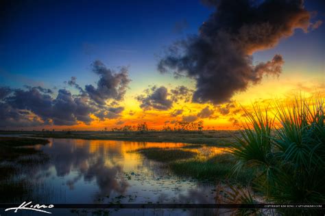 Florida Wetlands Sunset Pine Glades Natural Area Hdr Photography By
