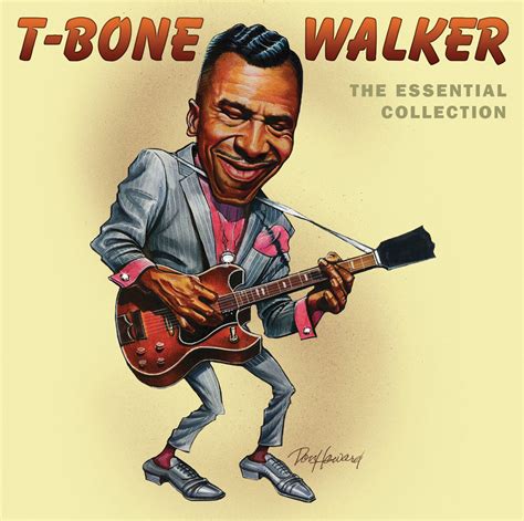T Bone Walker The Essential Collection Mvd Entertainment Group B2b
