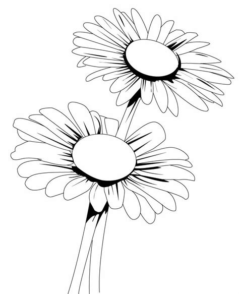 Desenhos De Flores Para Imprimir E Colorir Dicas Práticas