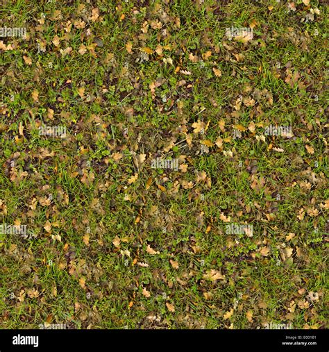 Dry Leaves On Green Grass Seamless Texture Stock Photo Alamy