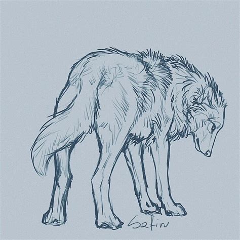 Fighting Wolves Drawing At Explore Collection Of