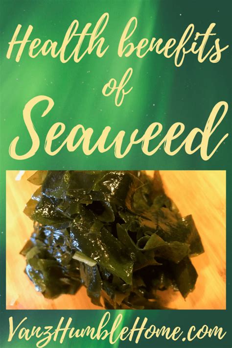 Health Benefits Of Seaweed Health Benefits Food Health