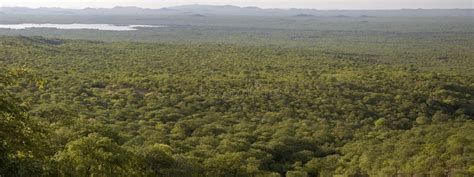 Pick the area that best fits your legal issue. Panorama Von Kunene-Landschaft Mit Wald, Grenzlinie ...