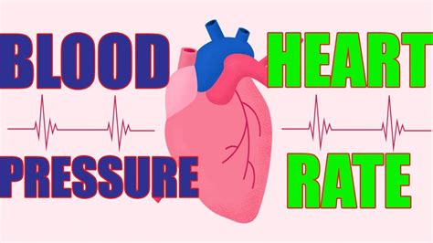 Blood Pressure Vs Heart Rate Chart Free Printable Worksheet