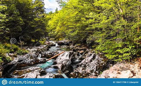 Beautiful Turquoise Blue Water In The Forest River Mostnica Gorge In