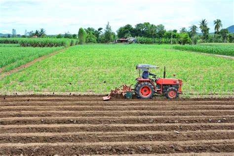 Farmer In Tractor Plowing Land With Red Tractor For Agriculture Stock