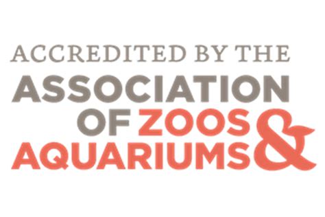 Association Of Zoos And Aquariums Sea Life Charlotte Concord