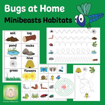 Bugs At Home Minibeasts Habitats By Teachers Telling Tales TPT