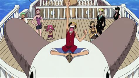 Brand New World The One Piece Wiki Manga Anime
