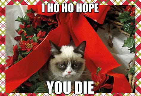 The 50 Funniest Grumpy Cat Memes Grumpy Cat Humor Christmas Memes