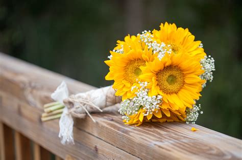 Now that you've got the basics, dive into the pro tips. you can make your own wedding bouquet. is very simple ...