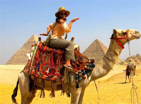 Camel Ride At The Giza Pyramids El Gouna Tours