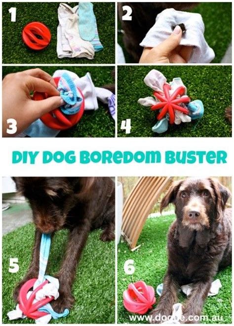 37 Homemade Dog Toys Made By Diy Pet Owners