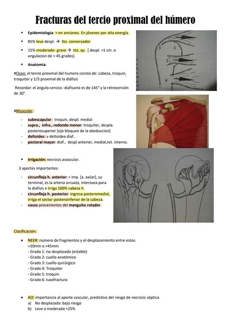 SOLUTION Fracturas Del Tercio Proximal Del H Mero Studypool