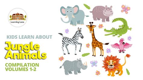 Kids Videos Jungle Animals Compilation By Learning Lane Youtube