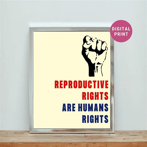 reproductive rights are human rights pro choice poster