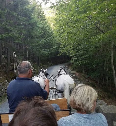Acadia National Park Carriage Rides A Unique Maine Experience